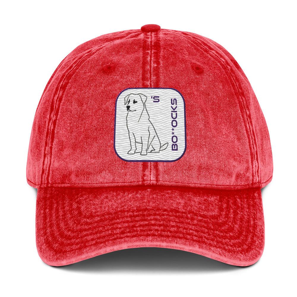 'Dog's Bo**ocks' Vintage Cotton Twill Cap - POMA Graphics